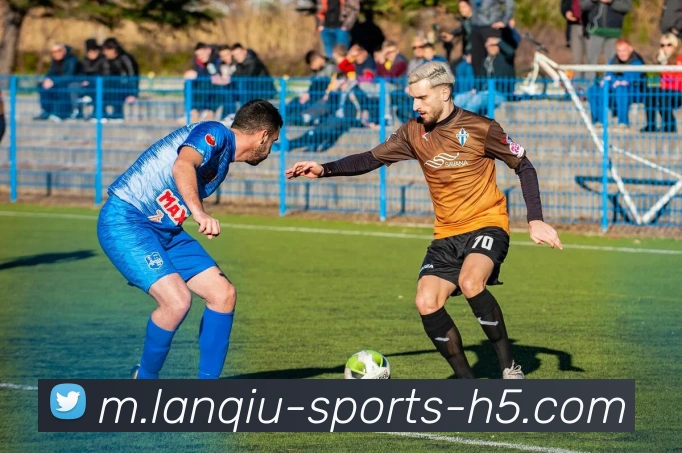 篮球赌注服务体系